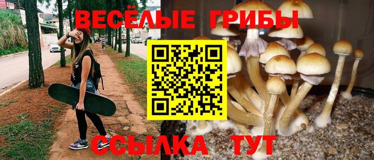 Псилоцибиновые грибы ЛСД Светлоград